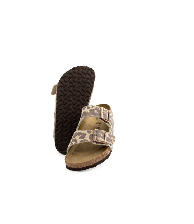 Birkenstock Arizona BS Leo Sandcastle Regular