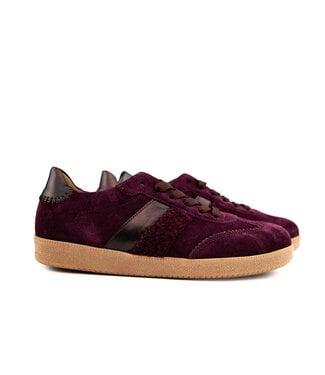 Gabor Gabor Sneaker Mulberry Wool