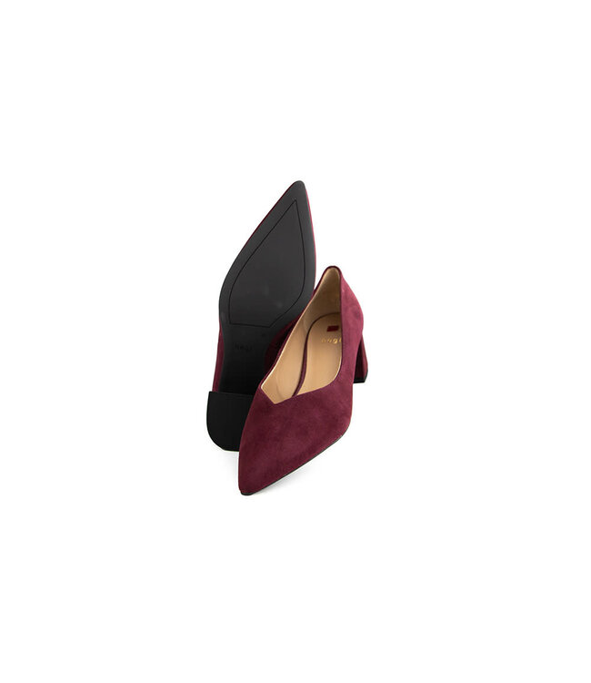 Hogl Pump Sheryl  Barolo Suede