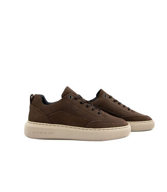 Cycleur de Luxe Cycleur de Luxe Roubaix DR7 Chocolab Lab