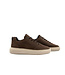 Cycleur de Luxe Roubaix DR7 Chocolab Lab