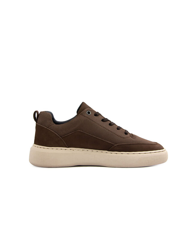 Cycleur de Luxe Roubaix DR7 Chocolab Lab