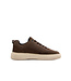 Cycleur de Luxe Roubaix DR7 Chocolab Lab