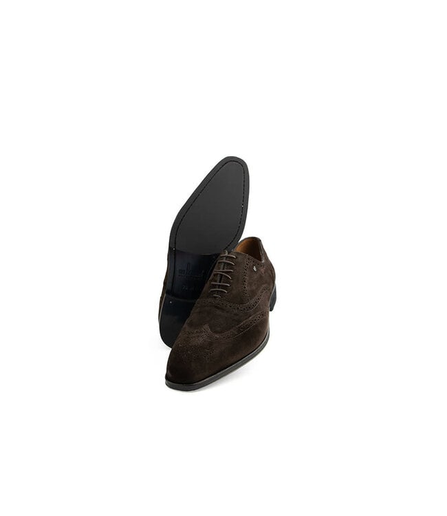 Van Bommel Raffa 04.02 Darkbrown