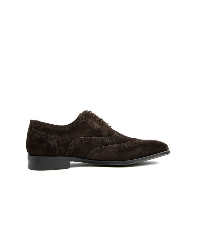 Van Bommel Raffa 04.02 Darkbrown
