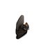 Magnanni Gesp Crostidifu Brown Marron