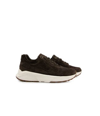Xsensible Xsensible Golden Gate Men H Darkbrown