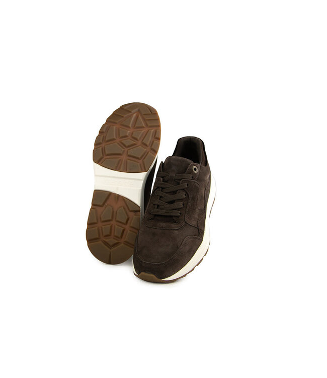 Xsensible Golden Gate Men H Darkbrown