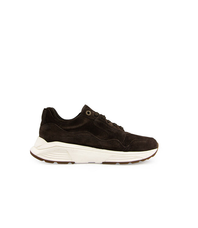Xsensible Golden Gate Men H Darkbrown