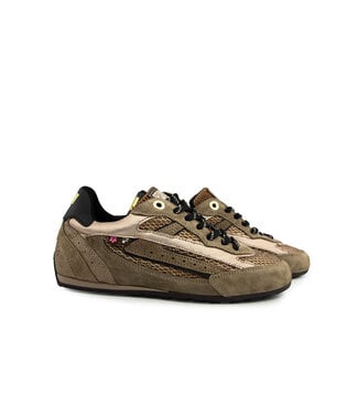 Floris van Bommel Floris van Bommel Illvi 01.02 Gold