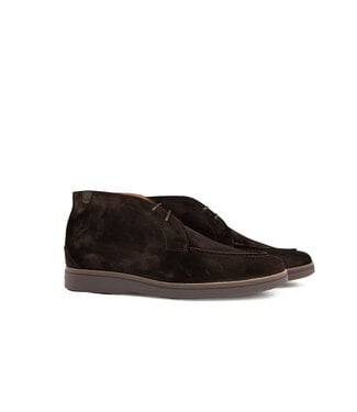 Floris van Bommel Floris van Bommel De Oister 05.00 D.Brown H