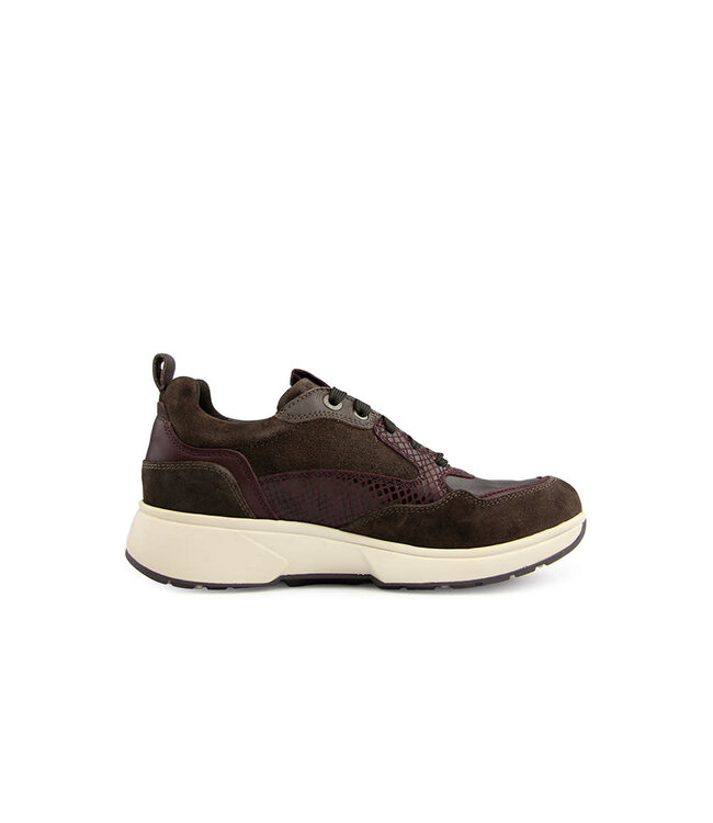 Xsensible Grenoble HX Dark Brown Combi
