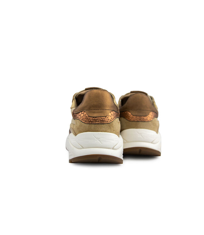 Xsensible Rainbow GX Camel Combi