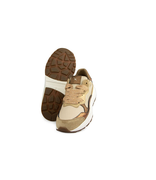 Xsensible Rainbow GX Camel Combi