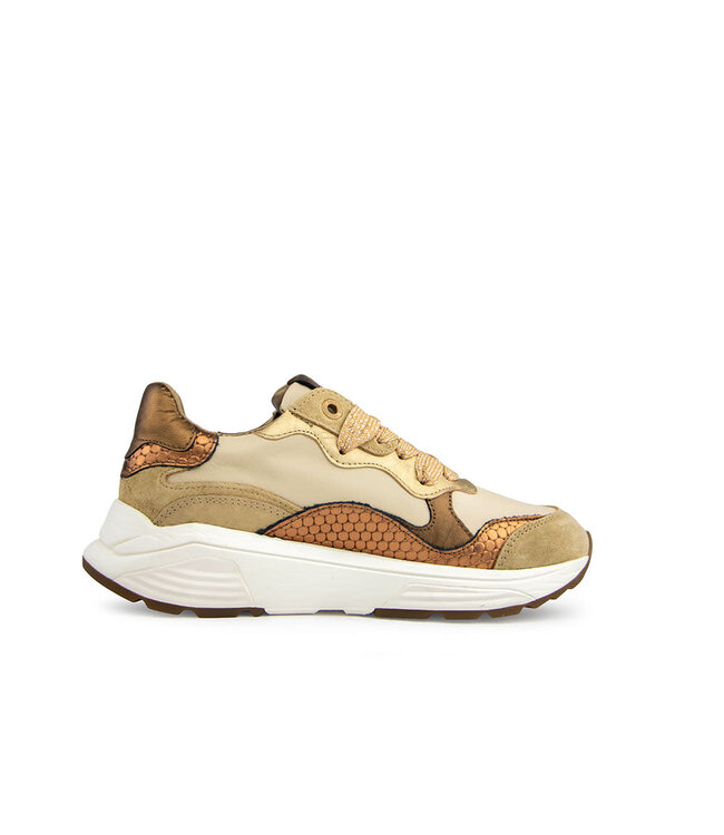 Xsensible Rainbow GX Camel Combi