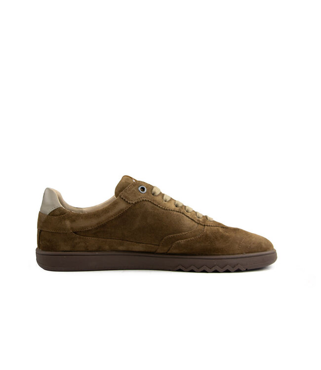 Floris van Bommel De Zaler 04.12 L.Brown