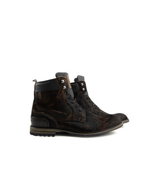 Floris van Bommel Floris van Bommel Crepi 05.23 Brown H