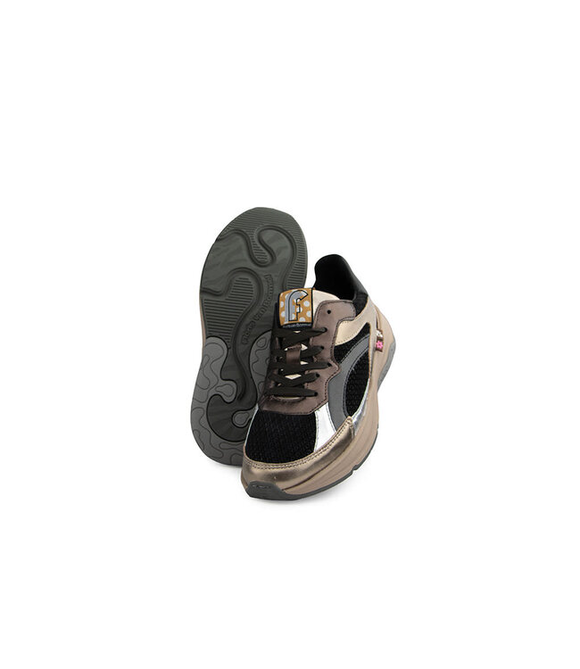 Floris van Bommel Holli 02.04 Bronz