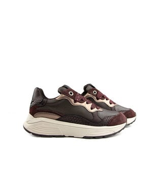 Xsensible Xsensible Rainbow GX Bordeaux Combi