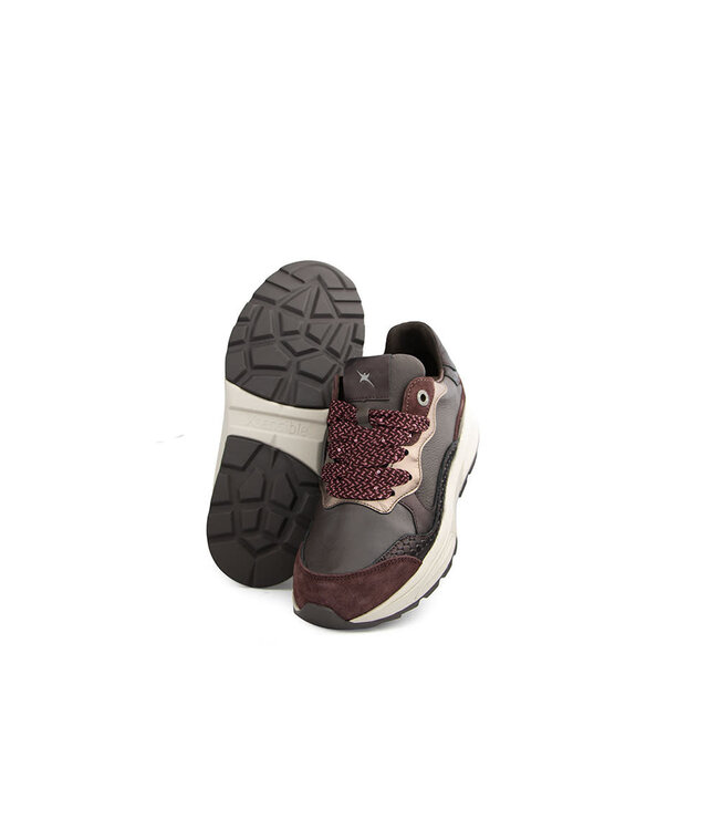 Xsensible Rainbow GX Bordeaux Combi