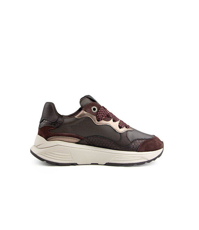 Xsensible Rainbow GX Bordeaux Combi