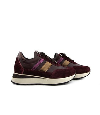Footnotes Footnotes Sneaker Erika Aubergine K