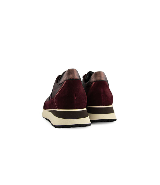 Footnotes Sneaker Erika Aubergine