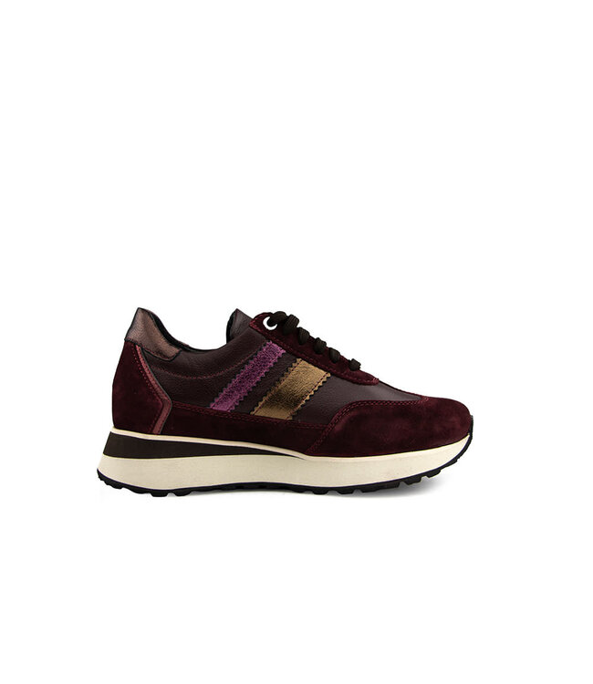 Footnotes Sneaker Erika Aubergine