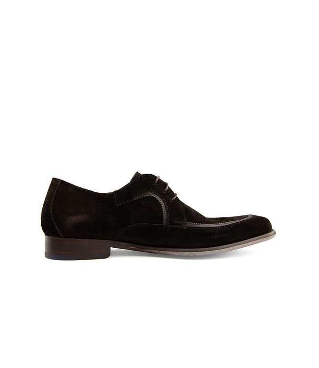 Floris van Bommel De Stijler 43.03 D.Brown