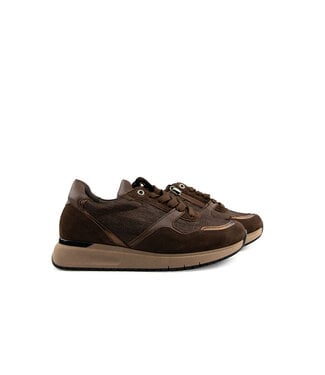 Gabor Gabor Sneaker Cacao Lizard Metal H