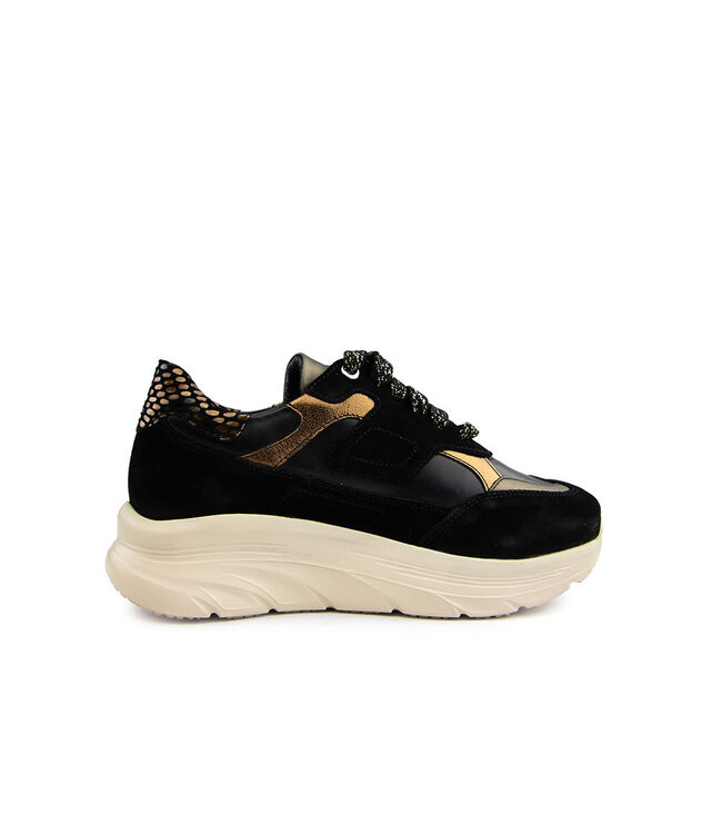Footnotes Sneaker Pem Black Gold