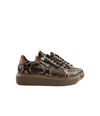 Footnotes Footnotes Sneaker Ciara Brown Antra Croco H