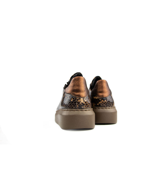 Footnotes Sneaker Ciara Brown Antra Croco