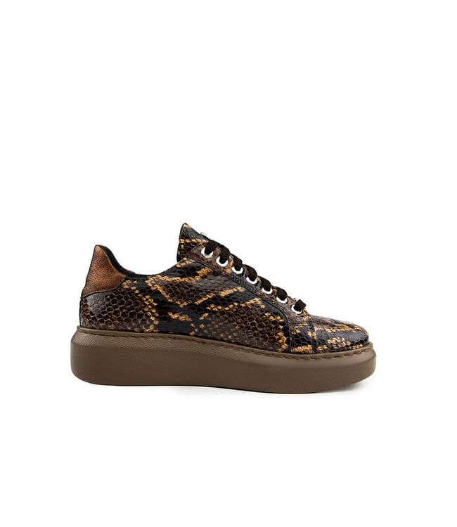 Footnotes Sneaker Ciara Brown Antra Croco