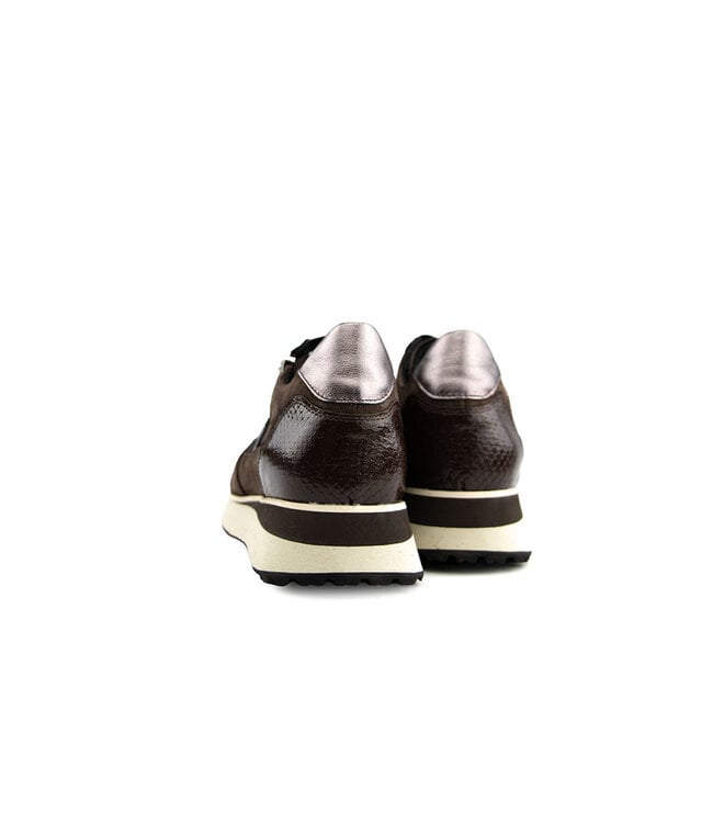 Footnotes Sneaker Elke Brown Metal Print