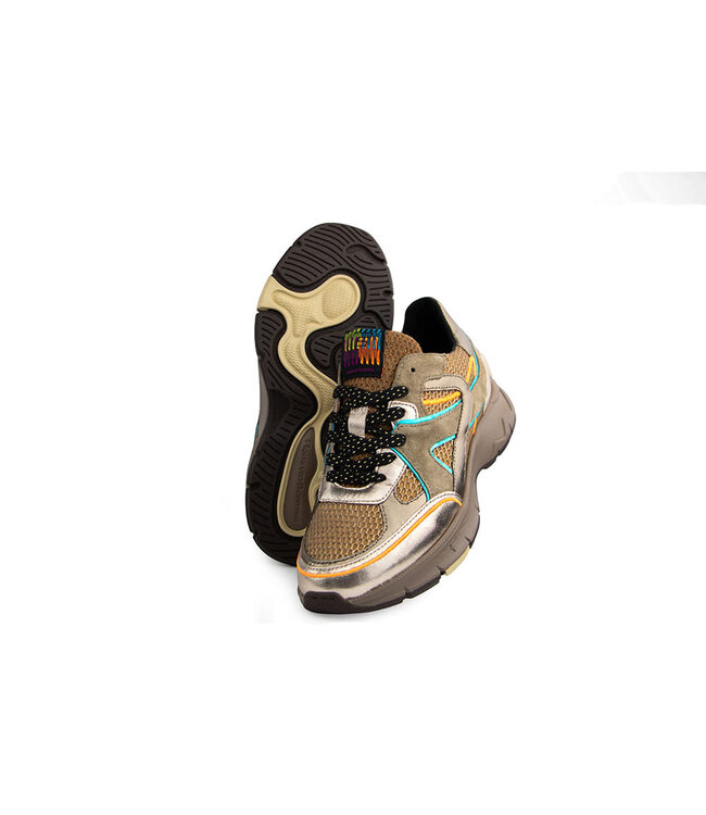 Floris van Bommel Daysi 09.01 Gold