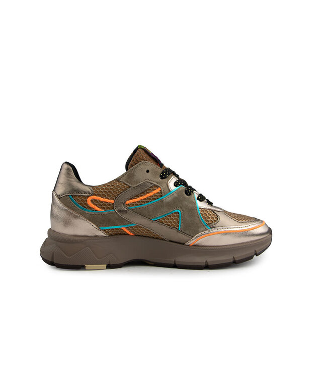 Floris van Bommel Daysi 09.01 Gold