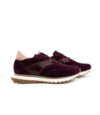 Gabor Gabor Sneaker Mulberry Rosewood H