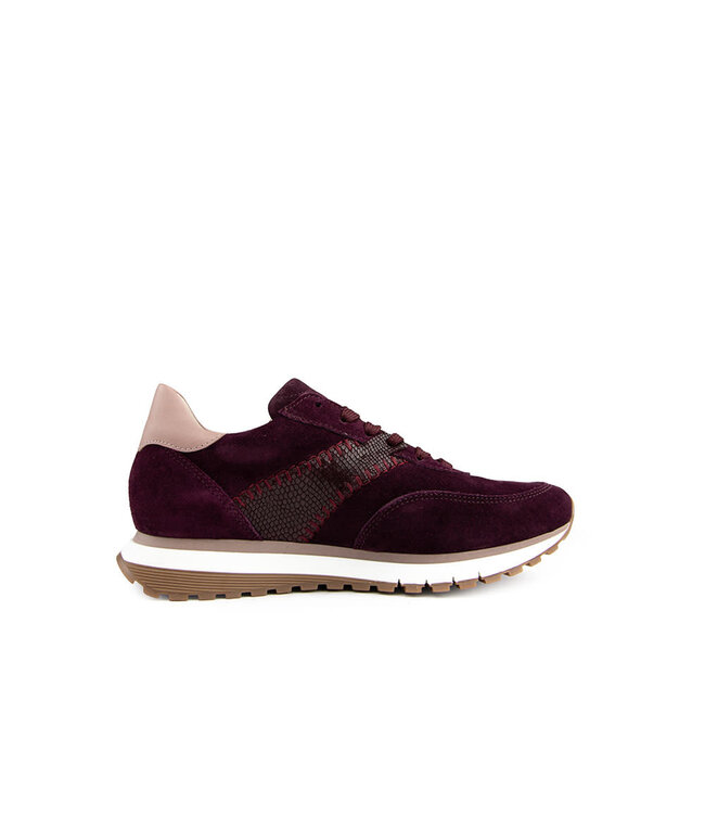 Gabor Sneaker Mulberry Rosewood