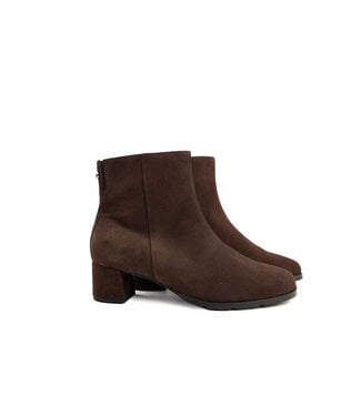 Hassia Hassia Milano Enkellaars Chocplum H
