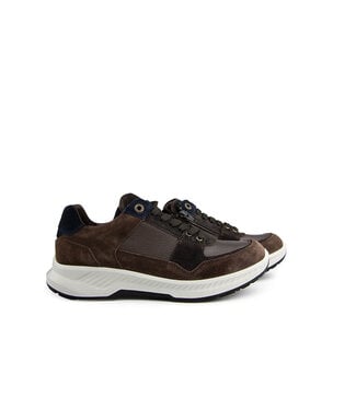 Xsensible Xsensible Hudson HX Dark Brown Combi