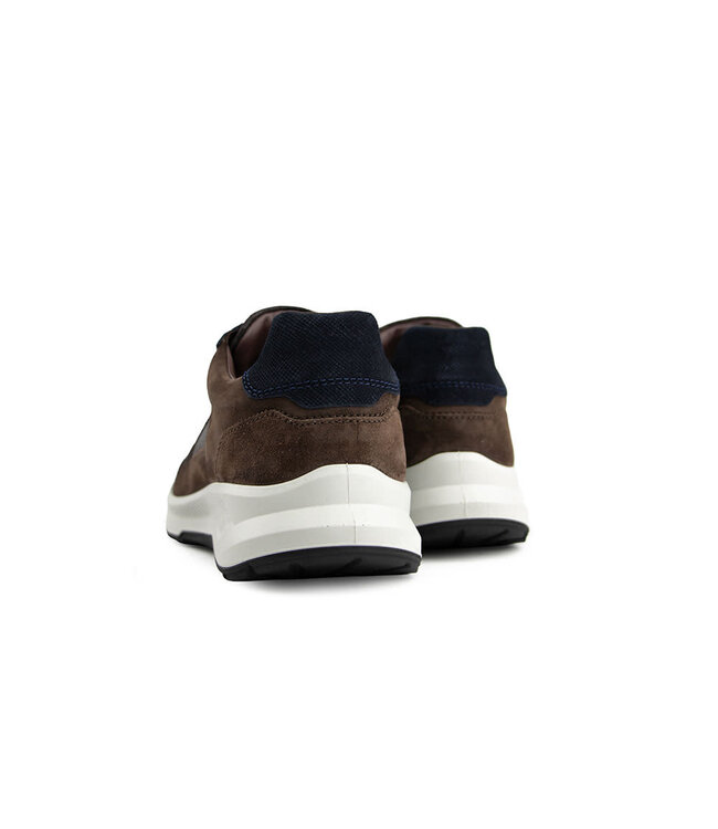 Xsensible Hudson HX Dark Brown Combi