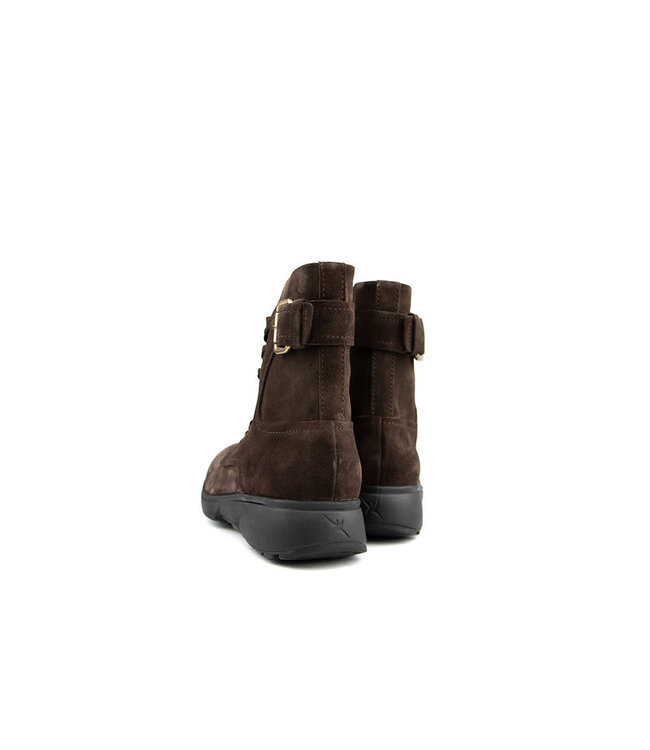 Xsensible Aurora H Dark Brown