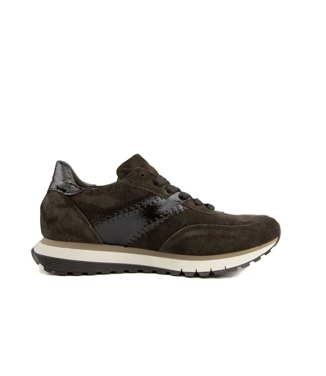Gabor Sneaker Mocca Lack Boa H