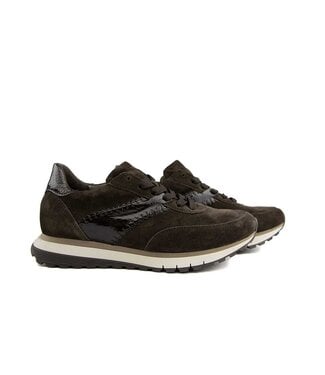 Gabor Gabor Sneaker Mocca Lack Boa H