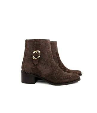 Floris van Bommel Floris van Bommel Evi 05.15 Darkbrown