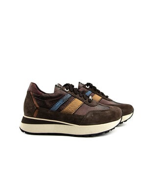 Footnotes Footnotes Sneaker Erika Dark Brown K