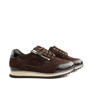 Hassia Hassia Porto Sneaker Chocplum