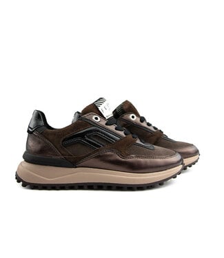 Floris van Bommel Floris van Bommel Noppi 52.06 Darkbrown