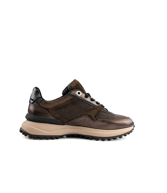 Floris van Bommel Noppi 52.06 Darkbrown